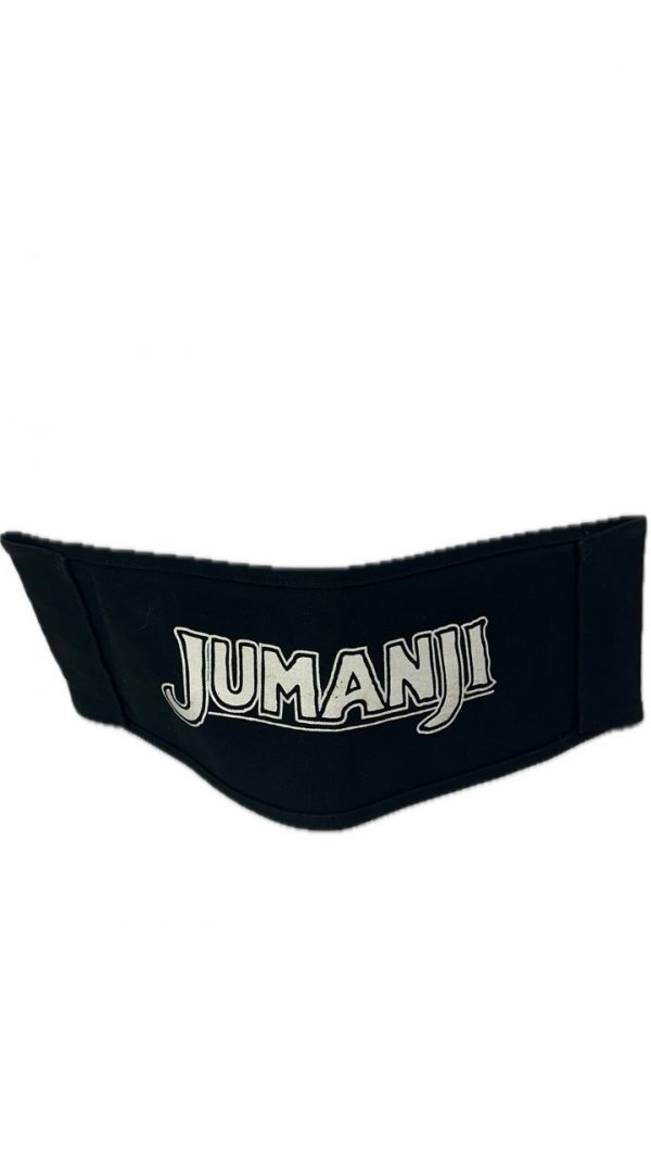 Jumanji Welcome to the Jungle (2017) - Guest Chairback